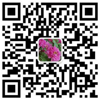 掃描關注網站微信公眾賬號